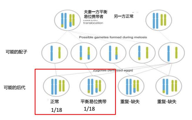 在北京做了三次借卵做试管婴儿未果后，我去北京做借卵做试管婴儿，成功实现了我的梦想