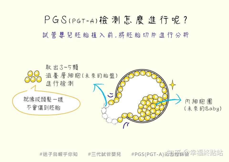 北京爱心供卵三代供精