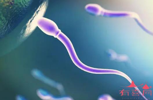 不再想一个人生活!卵子库赠卵私立供卵试管对高龄母亲来说不再是一个秘密