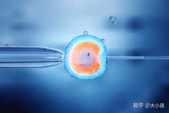 葫芦岛供卵借卵做试管亲子鉴定公司哪家准