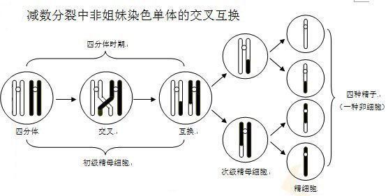 第三代供卵自怀试管技术来了!中山六院生殖中心顺利通过PGD-PGS试验认证!