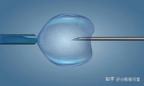 为什么做供卵三代代怀试管要在早上打尿素针？
