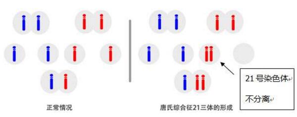 北京大学人民医院供卵做私立代生试管成功率参考，2023年移植技术好孕育医生推荐