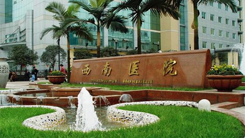 什么水平的胚胎适合在美国做借卵供卵代怀试管移植？