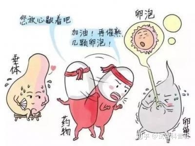 台湾高龄供卵试管成功经验这样做供卵试管成功率大大提高