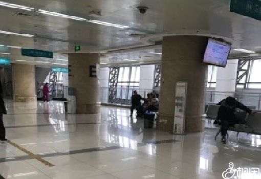 北京哪个医院做借卵试管成功率高