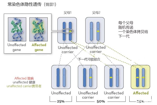 北京卵巢早衰去哪里做试管