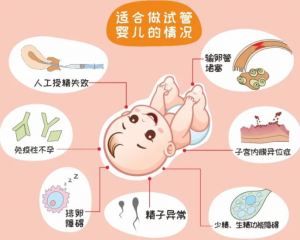 北京冷冻卵子和精子的成本介绍!冻卵的流程是怎样的