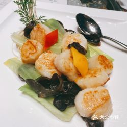 试管代怀系列取卵前需要了解的知识和注意事项