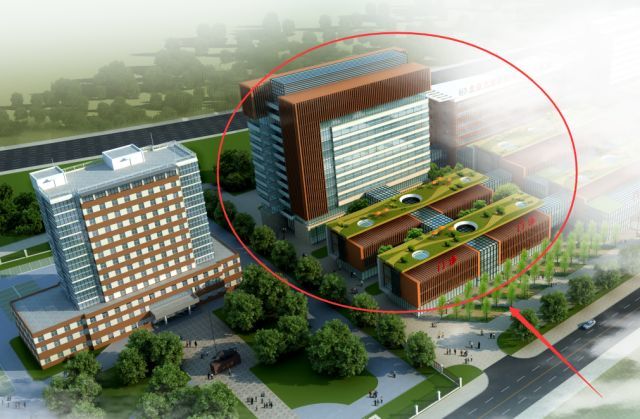 北京医保不能报销哪些试管项目北京医保代怀公司排名项目报销范围