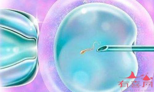 北京安医大医院有代生男孩的吗婴儿（国内试管和北京市试管有哪些区别？）