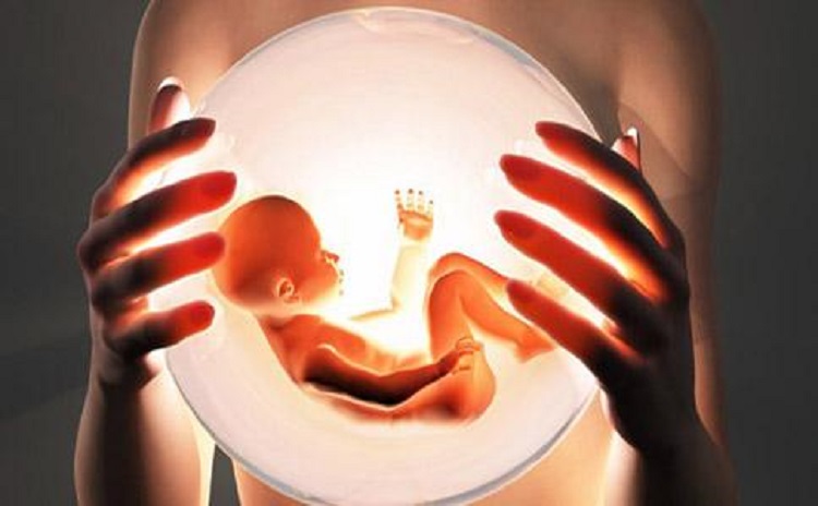 国外申请精子库（国外精子库取精过程）