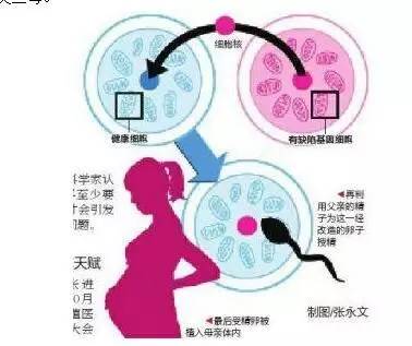 27岁未孕,孕检出一侧有卵巢囊肿怎么办