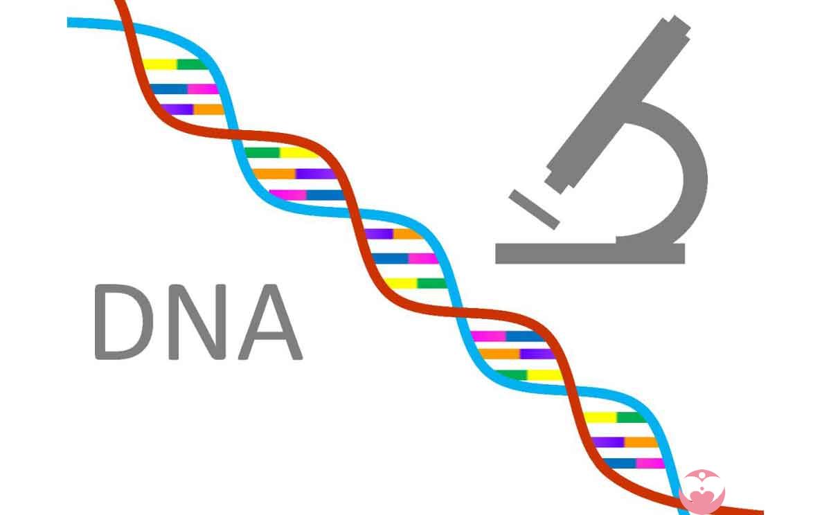 有没有帅高学历的精子库