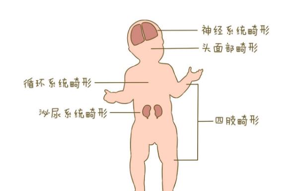 国内不允许试管代怀要打降调吗