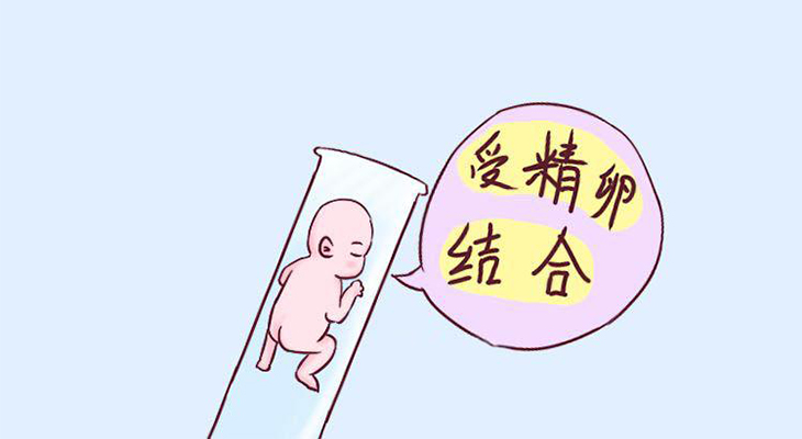 北京代怀自怀成功率高还是北京试管成功率高