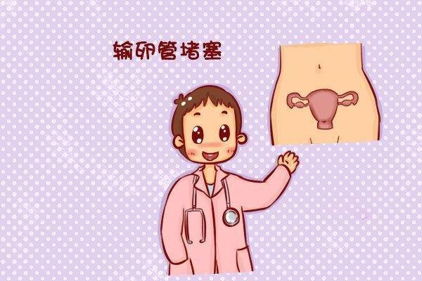 amh值是0.68试管移植能不能成功+做好各方面可以成功怀孕