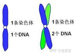 北京市做试管代怀包成功公司（中期妊娠引产）