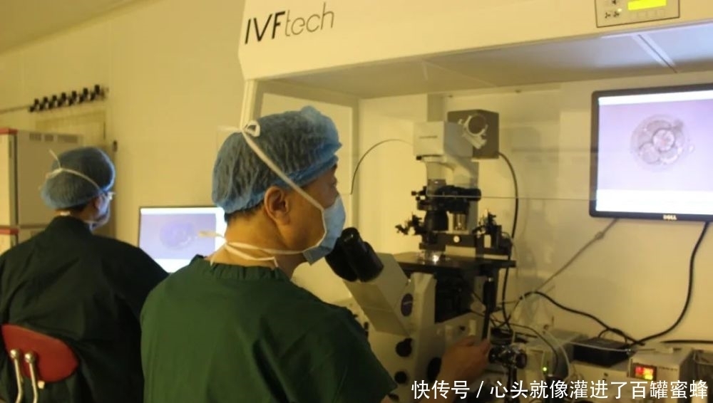 北京市代怀生子最新法律价格是多少呢
