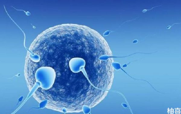 北京六院代生借卵子养囊费大概是多少第三代代怀宝宝健康吗