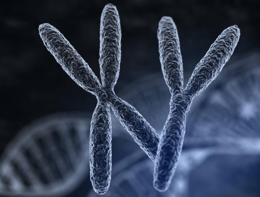 试管代怀儿子包成选的精子好吗_贝安健康-一代试管代怀都需要什么的精子要筛选吗