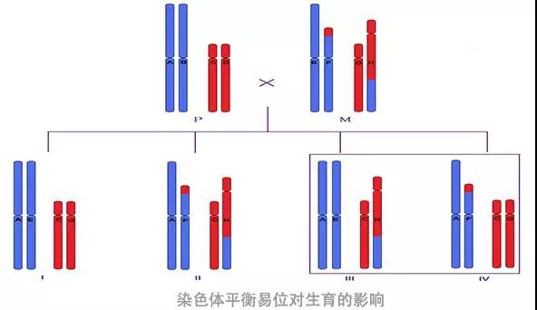 2024北京市代怀自怀费用排名新鲜出炉!附最新助孕费用及成功率参考