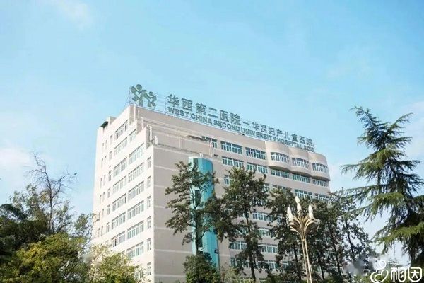 2024年全国三代试管租宫代生男孩十大医院