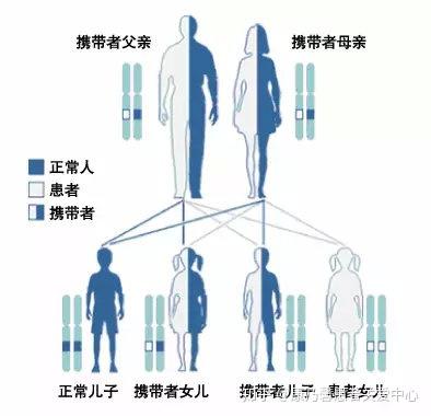 供卵代生机构要不要做早唐_出名和做试管供卵孩子,都要趁早!