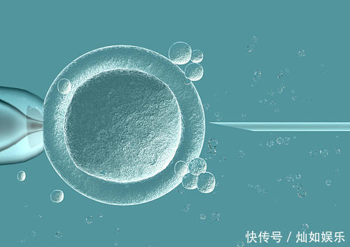 北京省妇幼齐改梅医生试管供卵儿子成功率怎么样