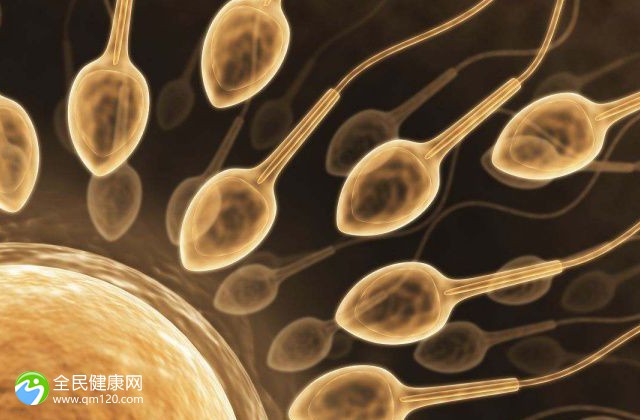 2024北京市三代代生宝宝价格费用多少可以包二胎供卵试管多少钱